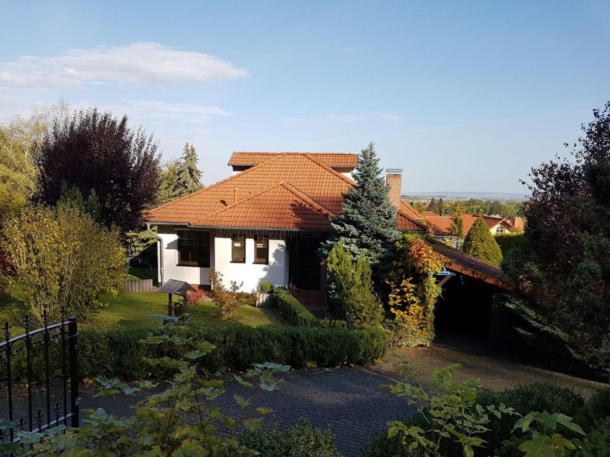 Harzblick Villa *