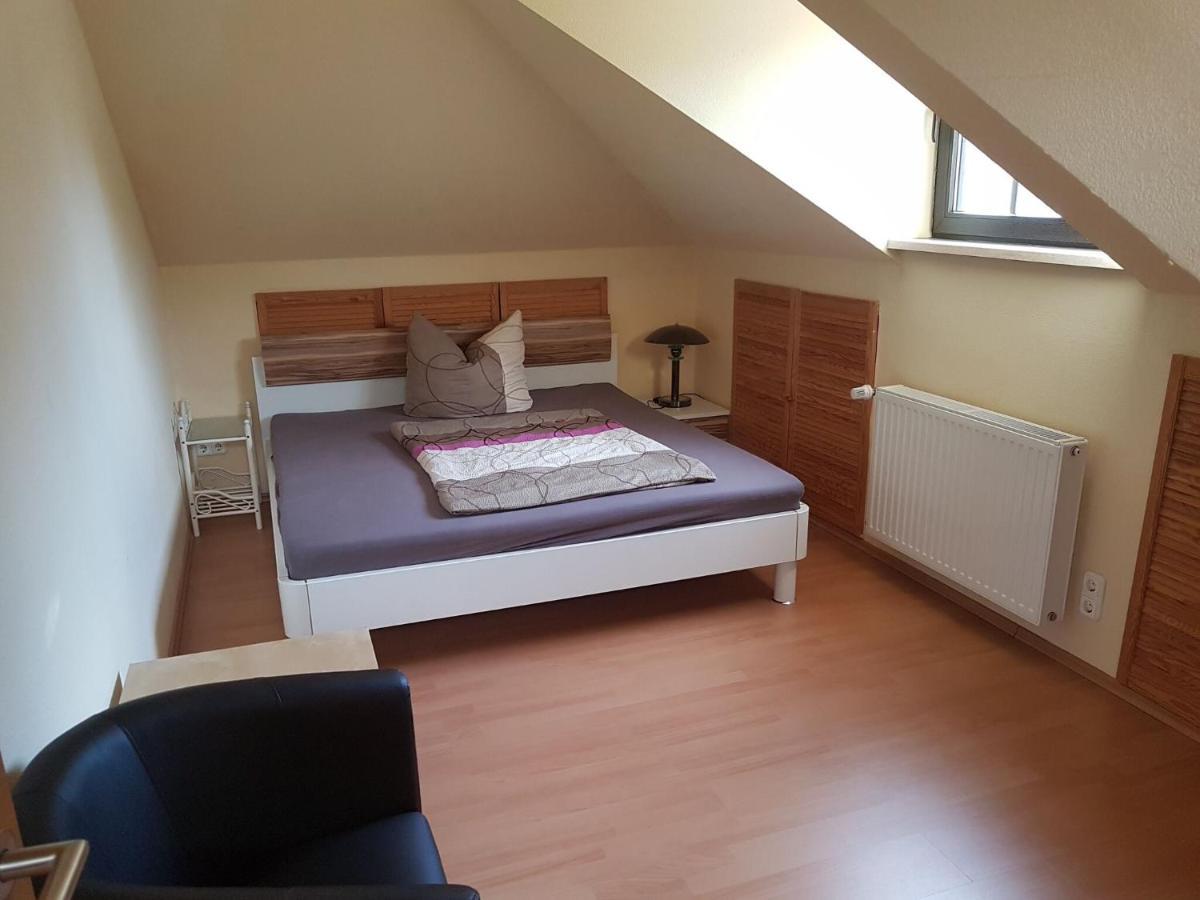 Spacious With Private Swimming Pool Villa Ballenstedt