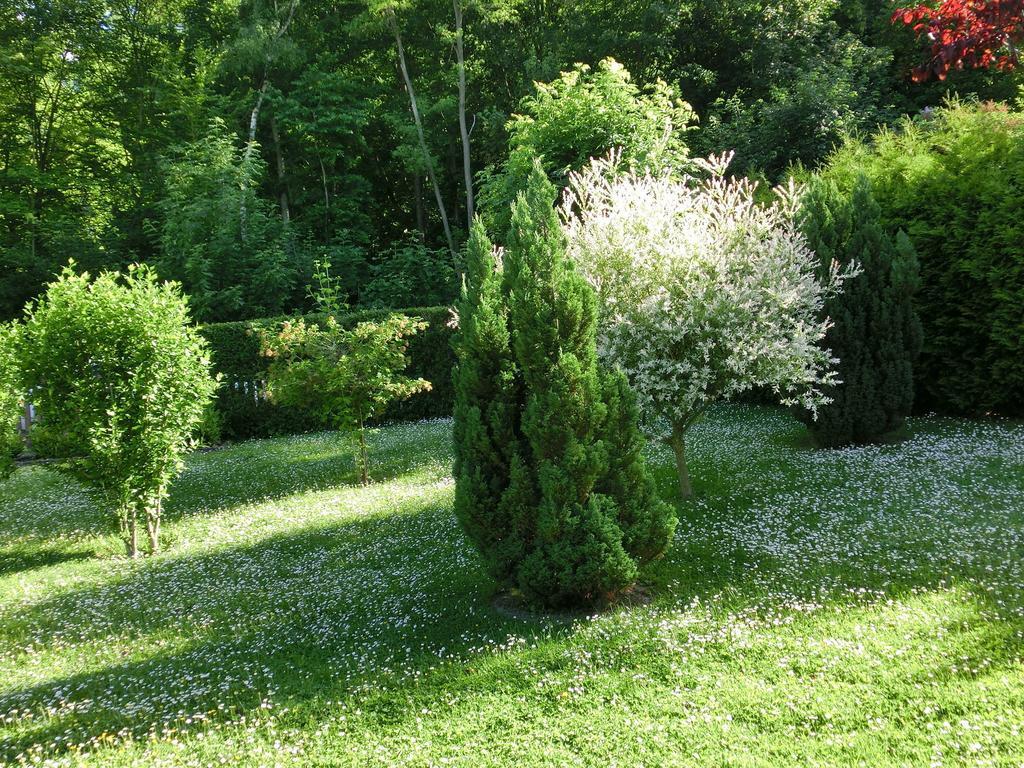 Harzblick Villa *
