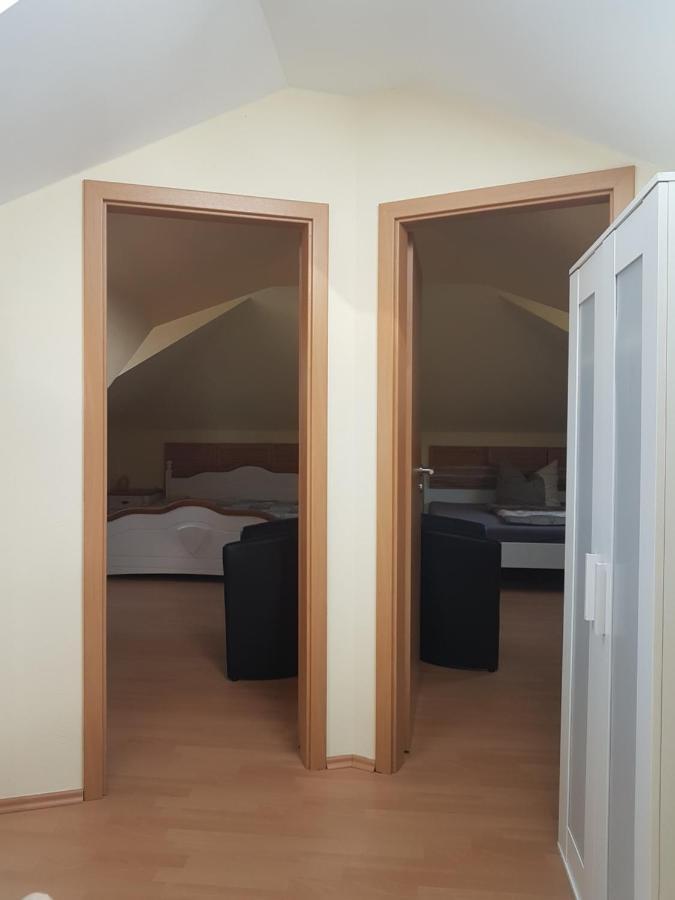 Spacious With Private Swimming Pool Villa Ballenstedt