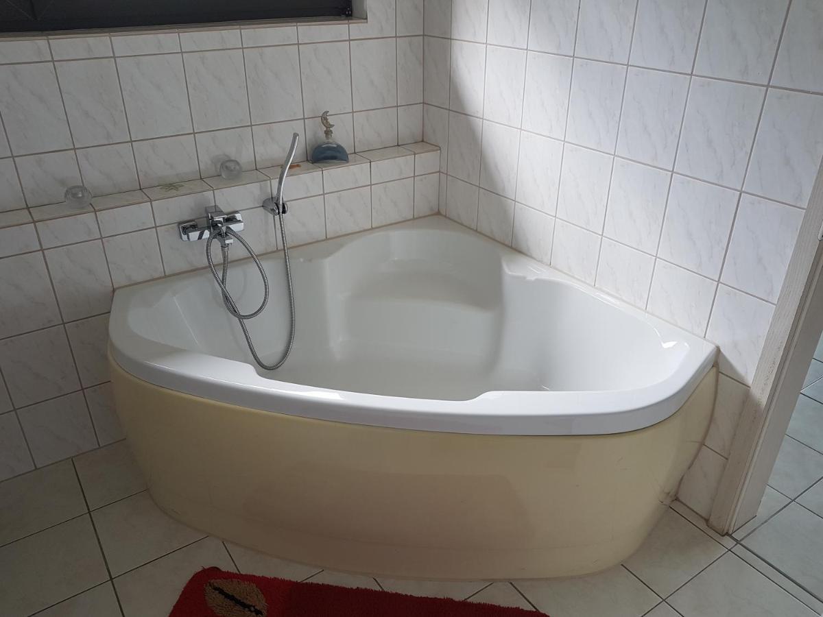 Spacious With Private Swimming Pool Ballenstedt